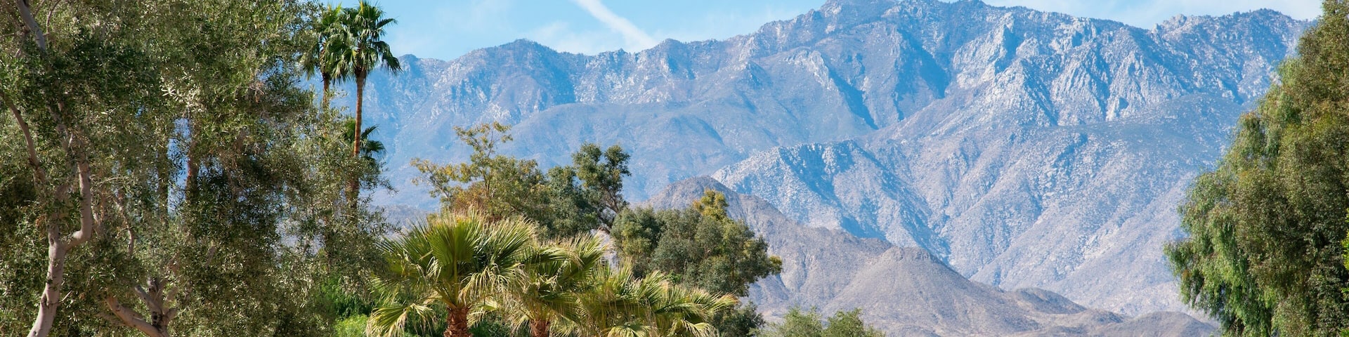 Palm Springs