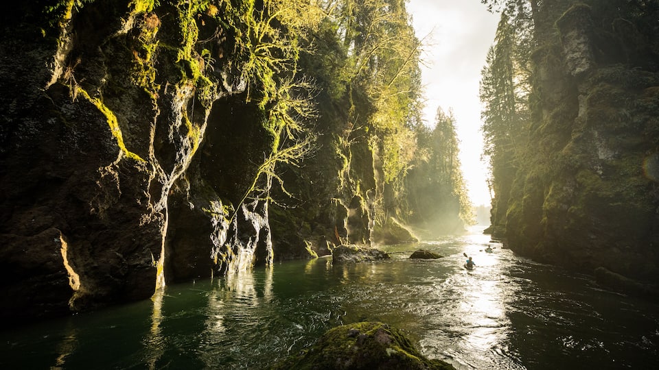 A river flowing through a forested gorge with sunlight filtering through the trees.