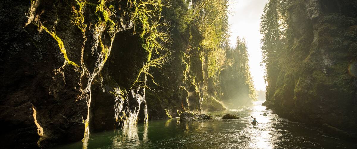 A river flowing through a forested gorge with sunlight filtering through the trees.