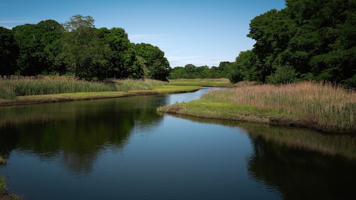 Tranquil summer landscape along the Pachogue River in Westbrook, Middlesex County, Connecticut