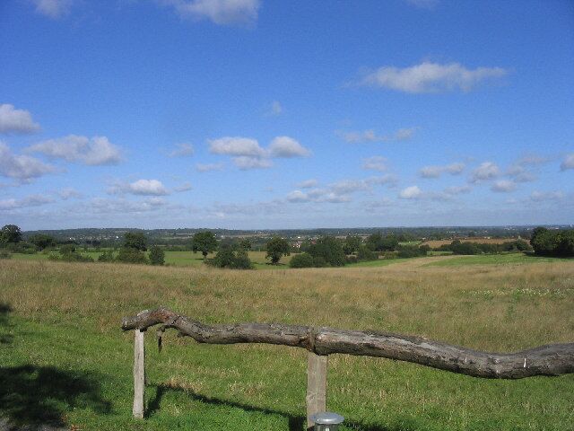 Grondon Park, Stock, Essex. View looking north from Grondon Park Lane