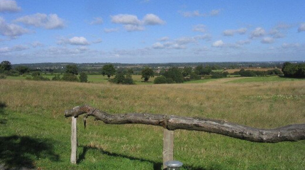 Grondon Park, Stock, Essex. View looking north from Grondon Park Lane