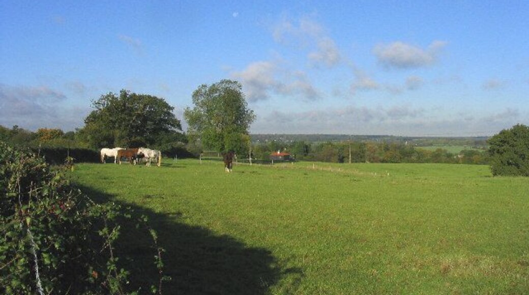 Horse Paddock, Ramsey Tyrells, Essex. Looking north-west from Ramsey Tyrells which lies about a mile west of the village of Stock.
