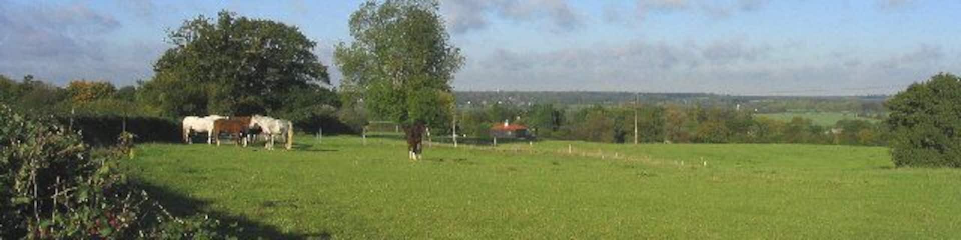 Horse Paddock, Ramsey Tyrells, Essex. Looking north-west from Ramsey Tyrells which lies about a mile west of the village of Stock.