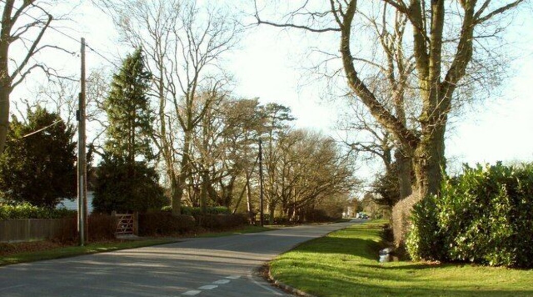 A view of Mill Road in Stock This is the view from the end of Mill Lane.
