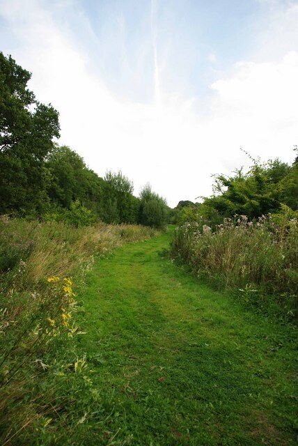 Swan and Cygnet Woods. This path passes between Swan and Cygnet Woods. The Woodland trust had owned Swan Wood (to the left) for some time. It managed to celebrate the millennium by acquiring land that is now becoming Cygnet Wood (to the right). Although there has been some planting of new trees much of the area is being allowed to reforest naturally. For more info see http://www.woodlandtrust.org.uk/en/our-woods/pages/about-this-wood.aspx?wood=4385 and see the opposite view at 1457301