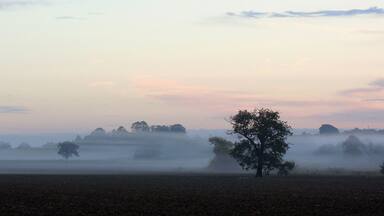 View from St Mary's Church , Buttsbury , Essex , October 2012