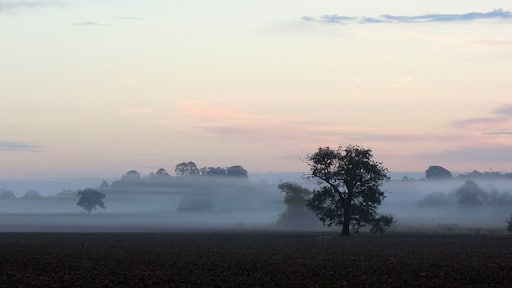 View from St Mary's Church , Buttsbury , Essex , October 2012
