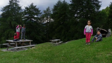 panoramic photo of mountain landscape in Valtellina, children play in place for picnics, mountains in spring, path, Bormio, Lombardy, Italy