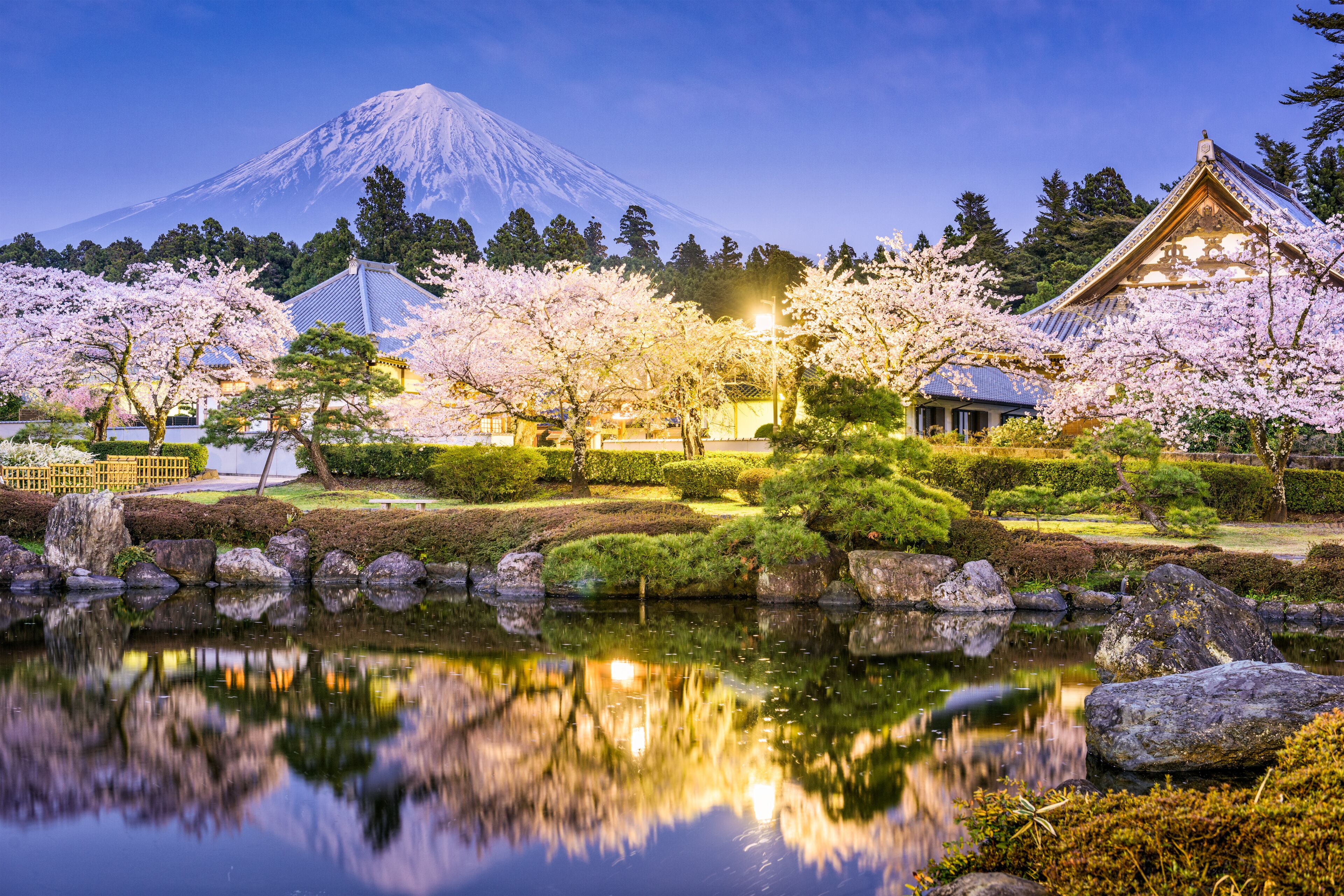 Mt. Fuji in Spring