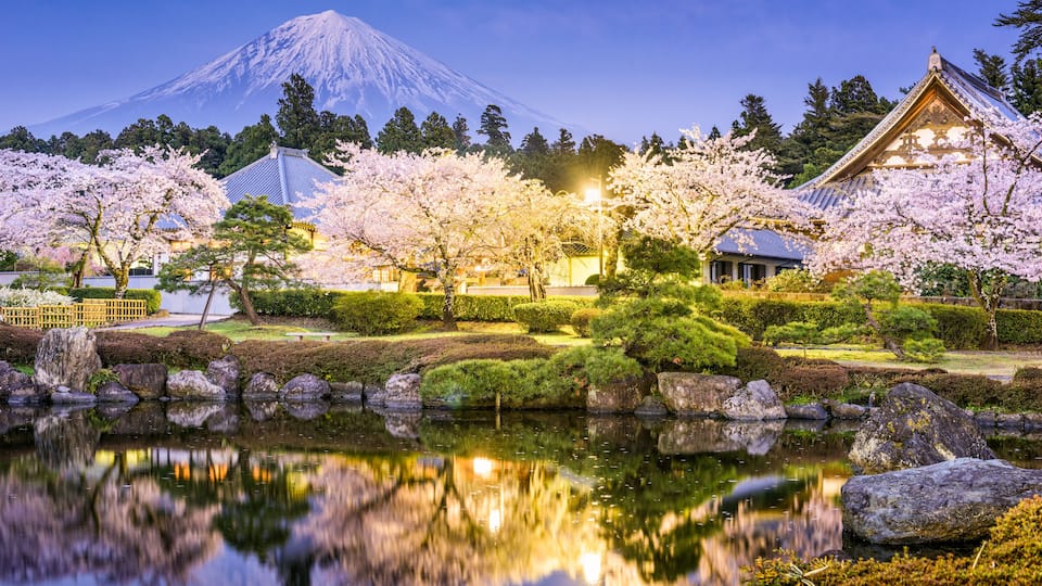 Mt. Fuji in Spring