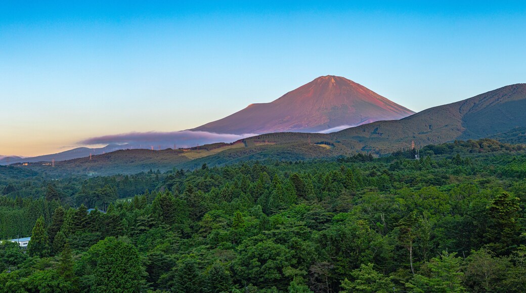 Mount Fuji Pano Japan