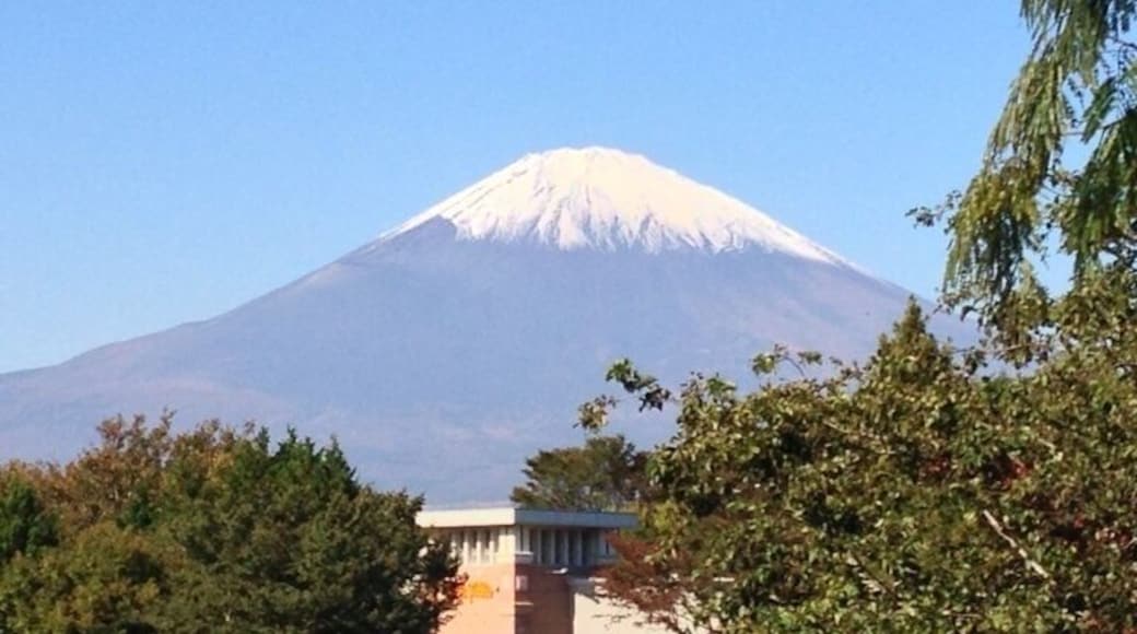 Fuji Mountain / ćŻć٫㱱