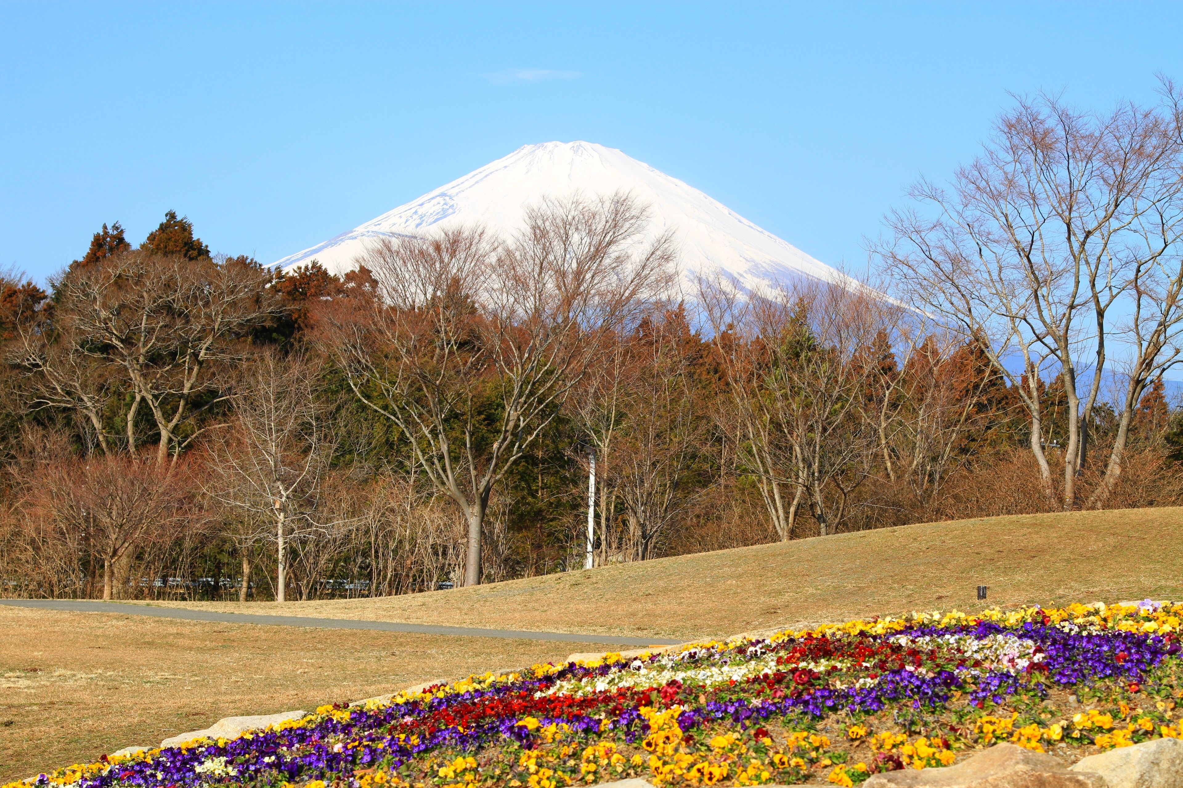 足柄SAから富士山 (静岡県御殿場市深沢)