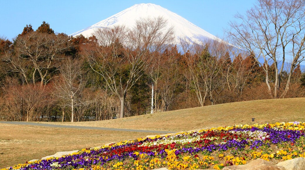 足柄SAから富士山 (静岡県御殿場市深沢)