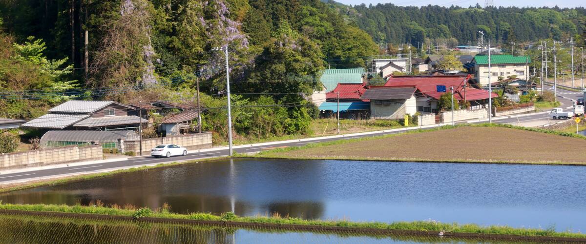 A rural landscape with a pond, houses, and a road.