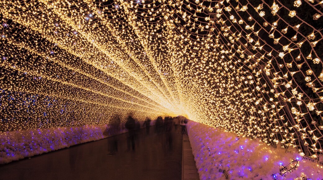 The romance under these amazing lightings at Nabana no Sato, Japan.
#lights #winter #nabananosato #japan