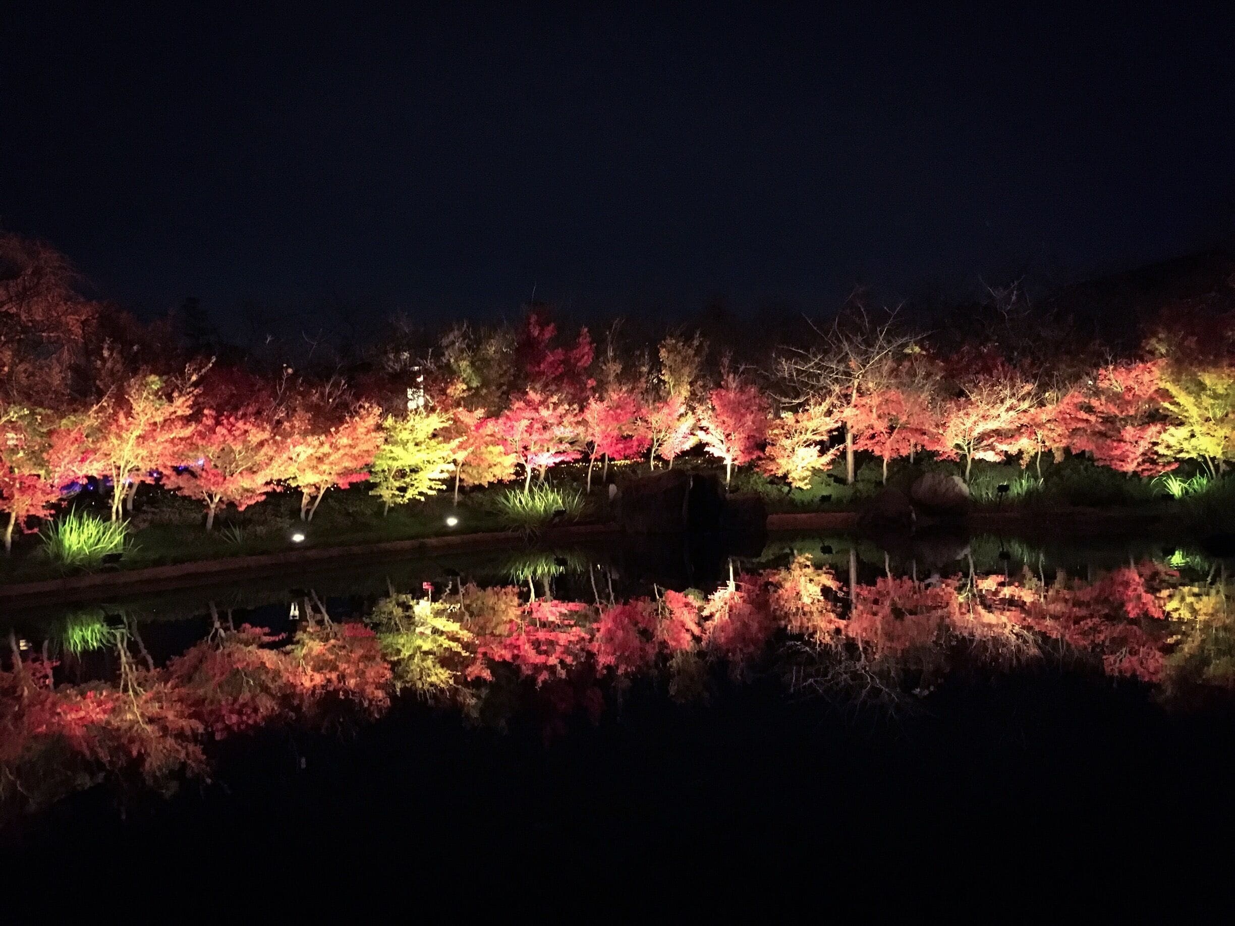 Nabana no Sato, Japan