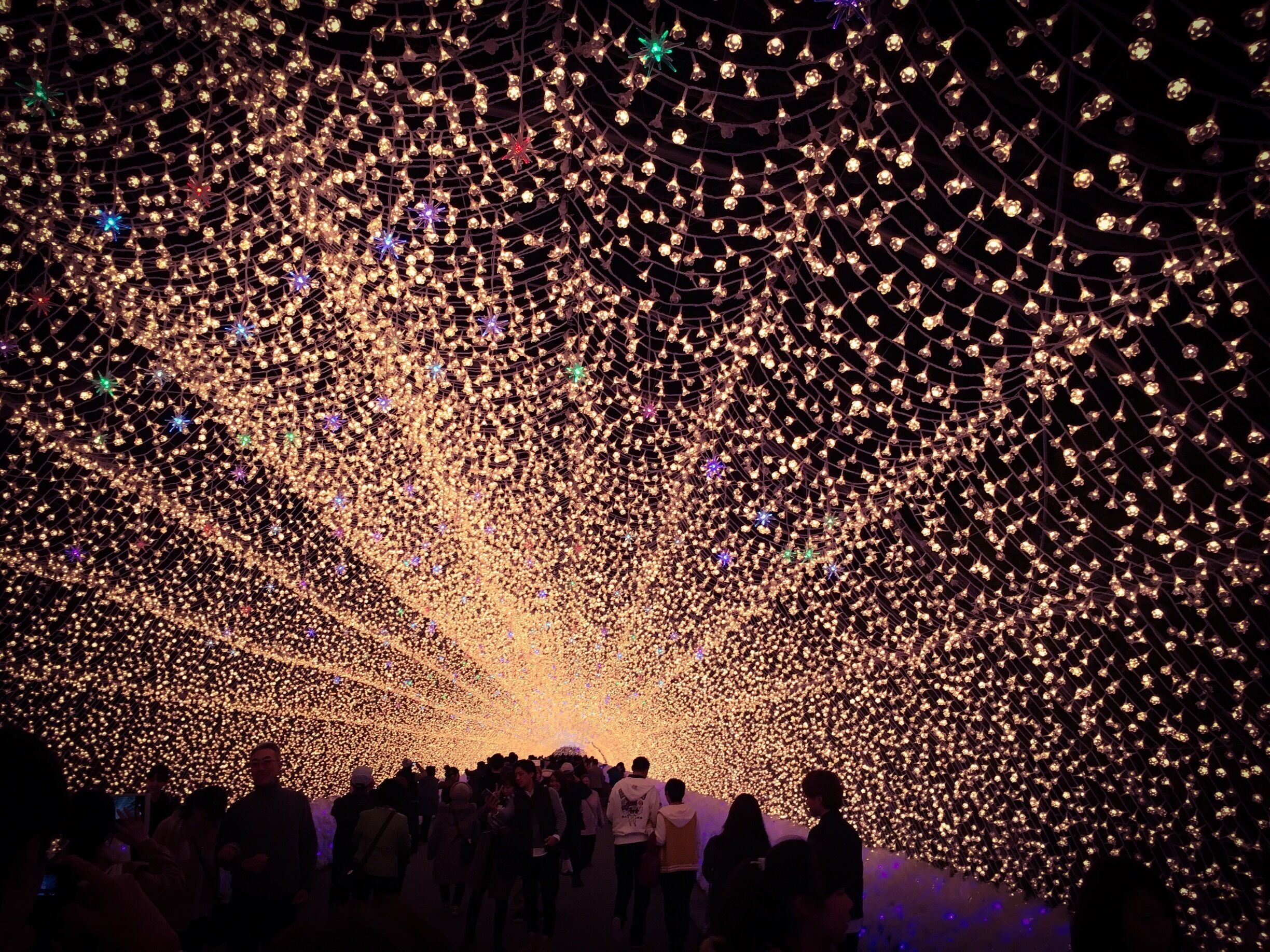  Nabana no Sato, Japan 