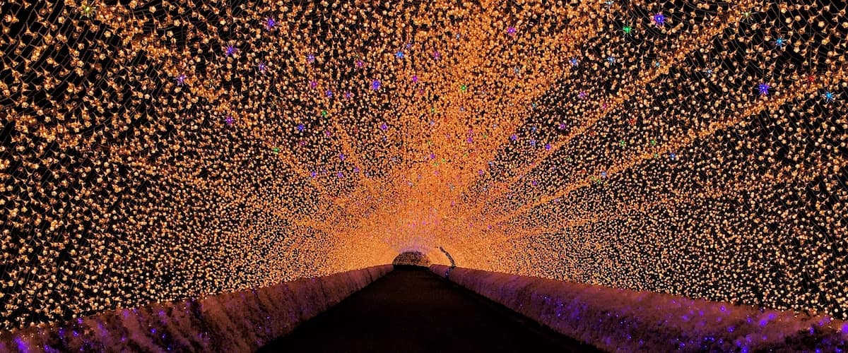 Perfect shot without a soul. 🙂