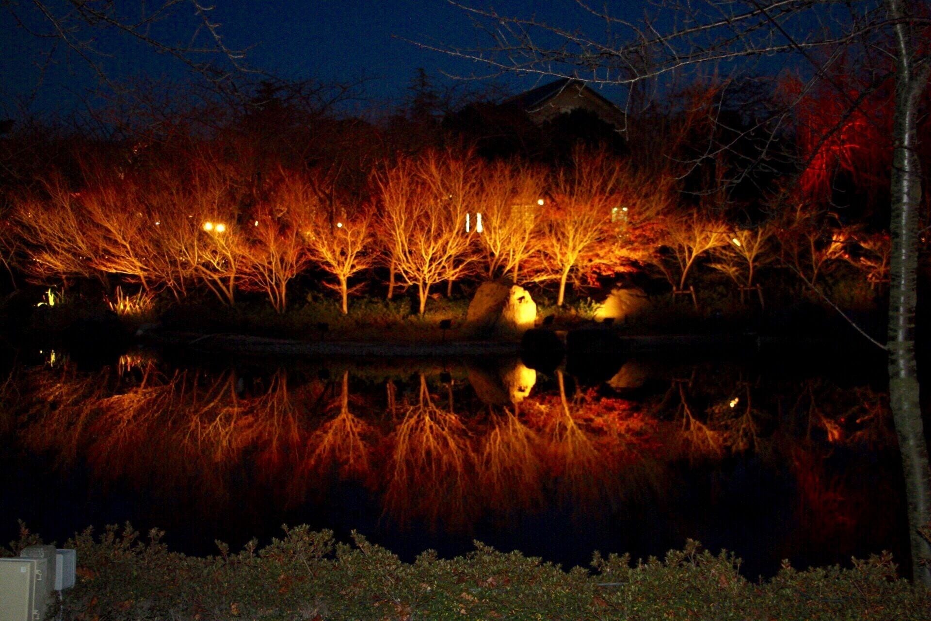 #Japan#nabananosato#red