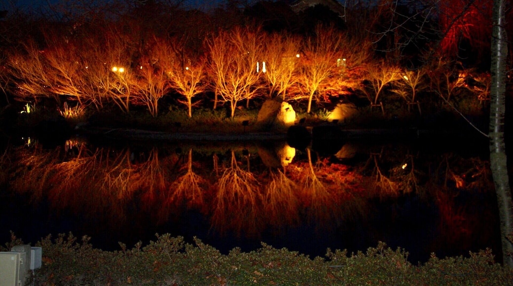 #Japan#nabananosato#red