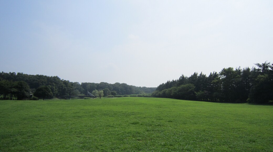 古河総合公園内(古河市)