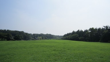 古河総合公園内(古河市)