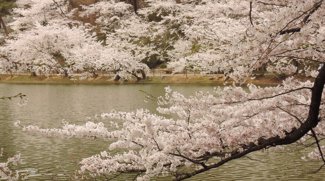 Garyu Park in Suzaka city, Nagano prefecture.