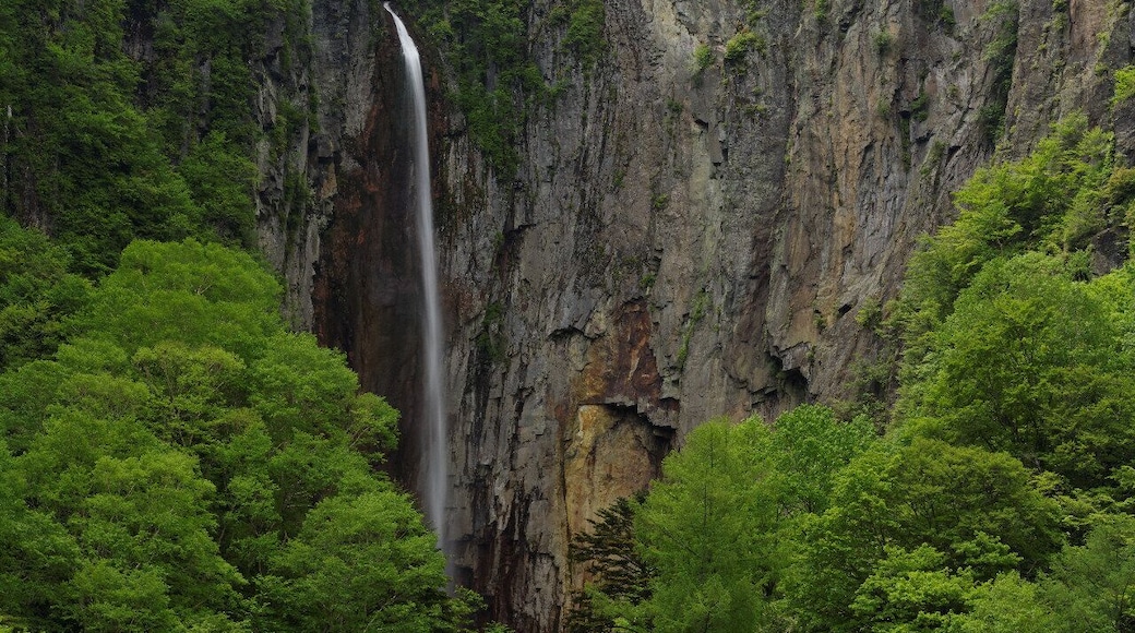 権現滝(米子大瀑布) / Gongen-taki waterfall