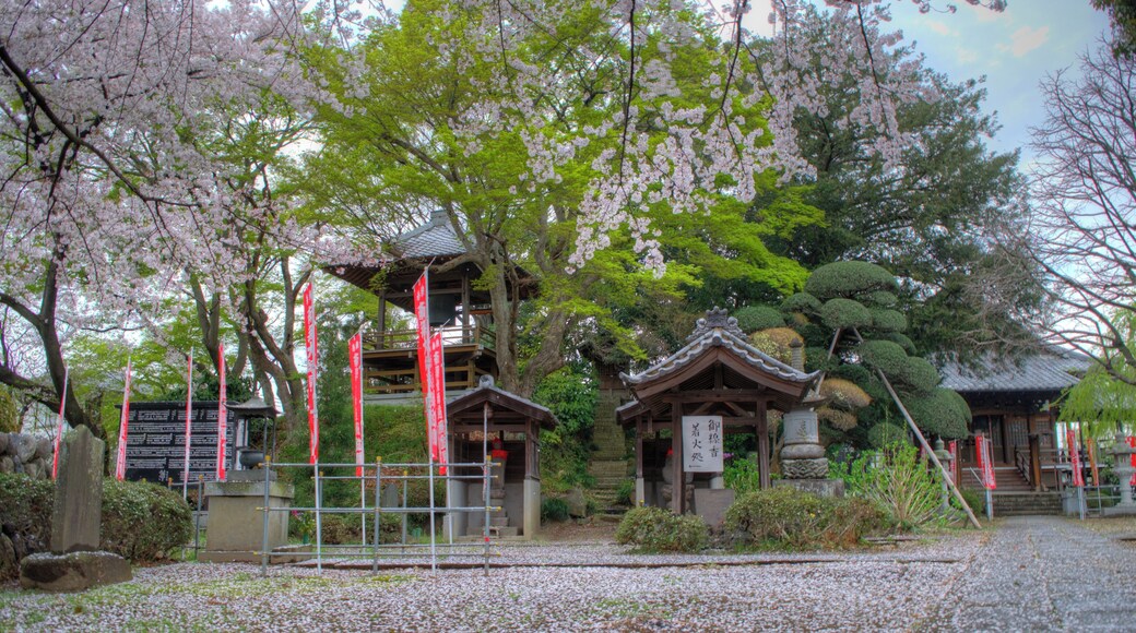 Daishō-ji Temple