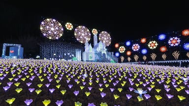 Teamlab Digitized Lakeside and Forest in Saitama