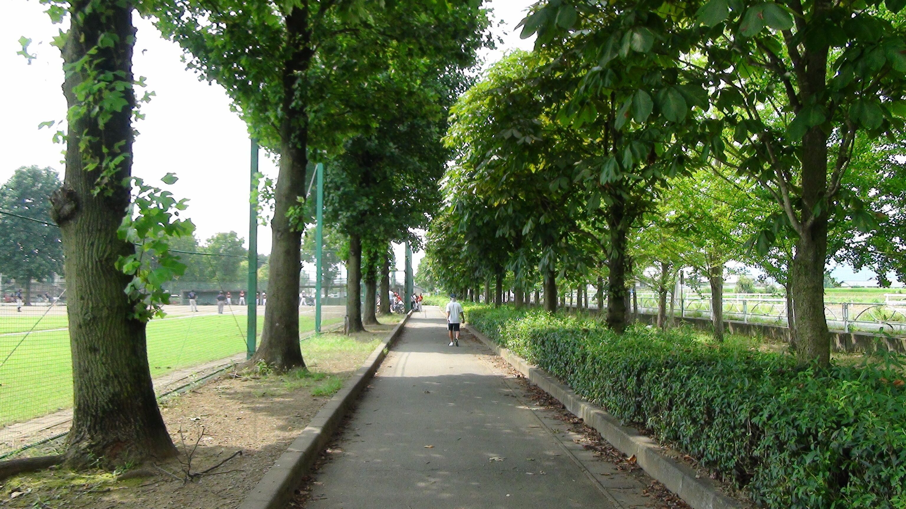 栃木市総合運動公園