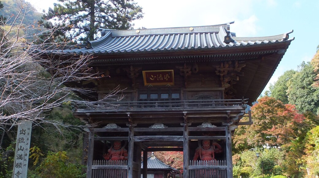Niōmon gate of Mangan-ji temple in Tochigi, Tochigi prefecture