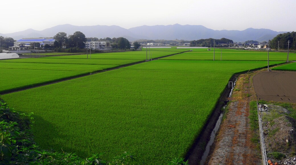 静和駅付近の風景