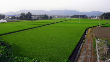 静和駅付近の風景
