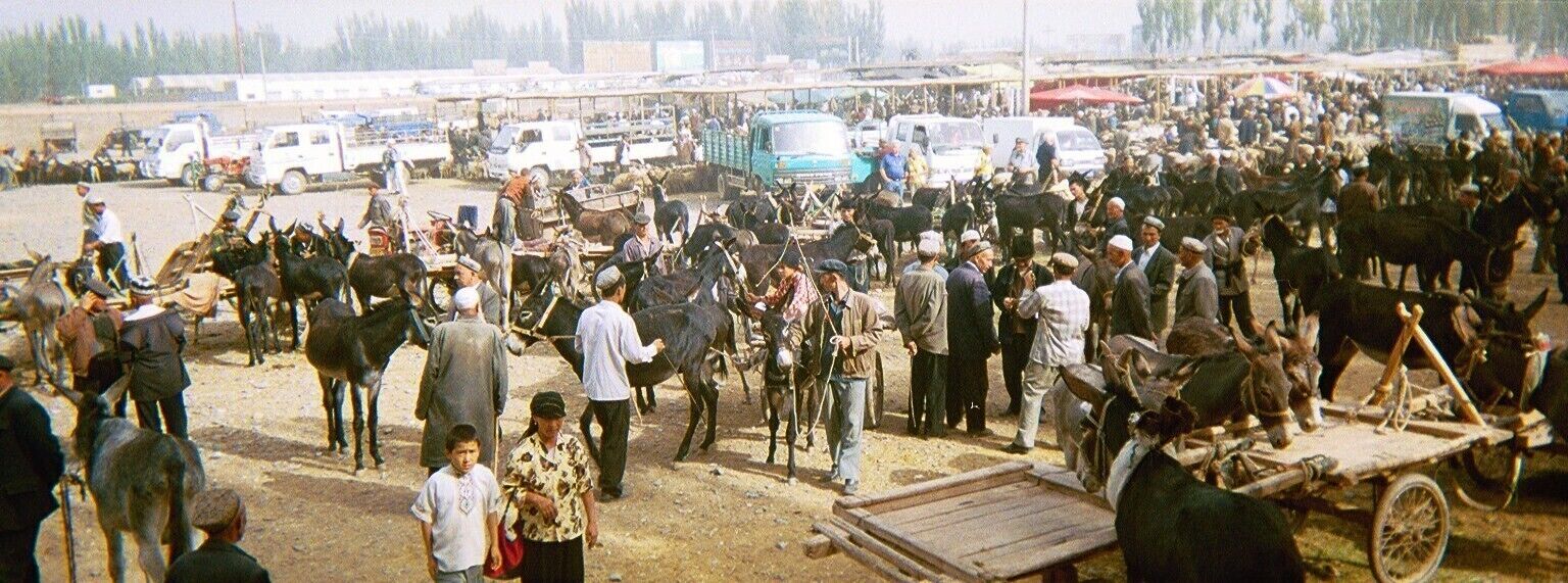 Kashgar is the inhabited population furthest from any sea. More than 4,000 kilometers separate it from the water by the north, south, east and west. This locality, where the uighurs live, has one of the oldest and most colorful animal markets in Central Asia.