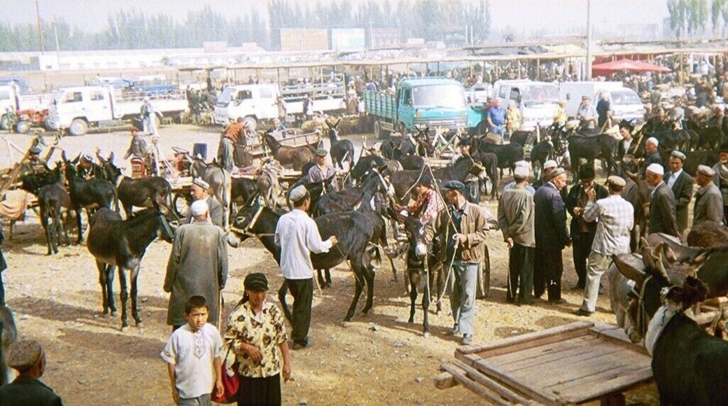 Kashgar is the inhabited population furthest from any sea. More than 4,000 kilometers separate it from the water by the north, south, east and west. This locality, where the uighurs live, has one of the oldest and most colorful animal markets in Central Asia.