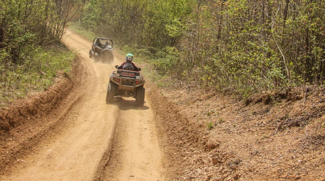 Cruisin down trail under cloudy blue sky in West Virginia