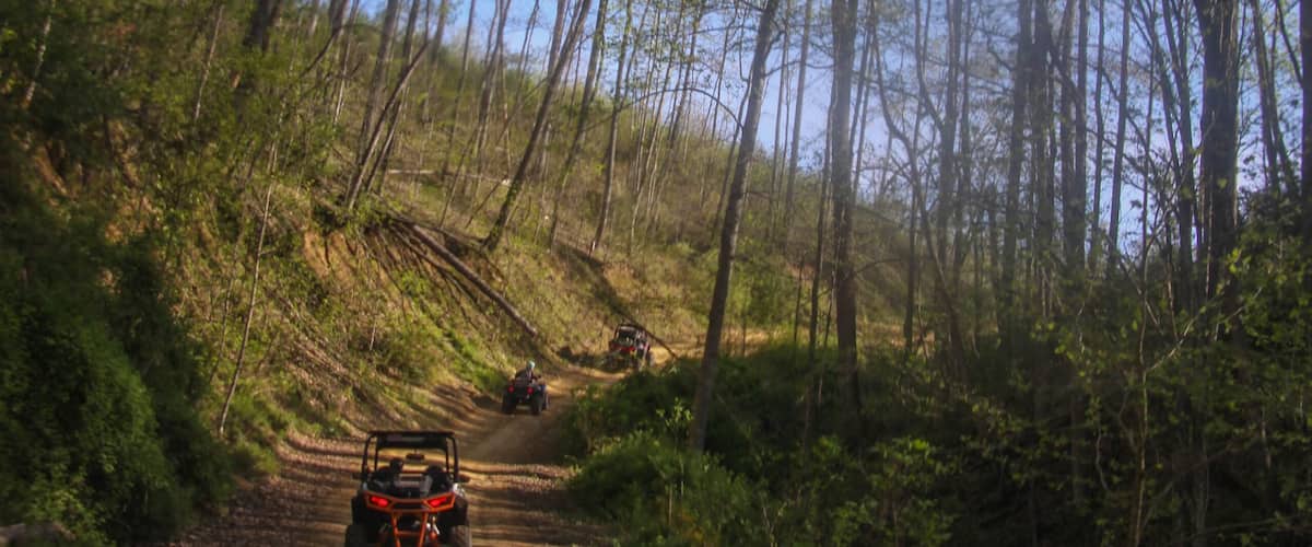 A dirt road through a forest with trees on both sides.