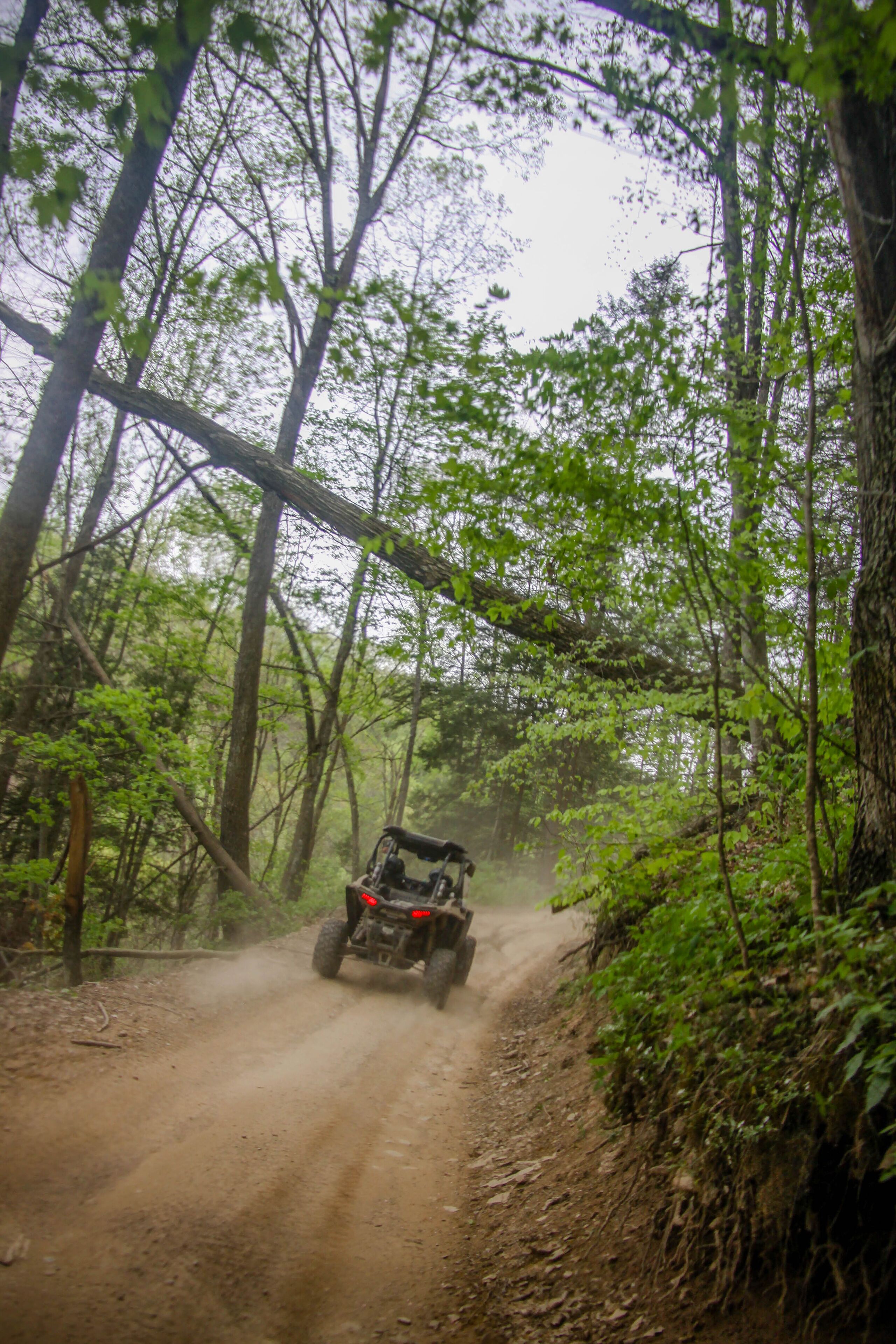 OHRV on trails of West Virginia