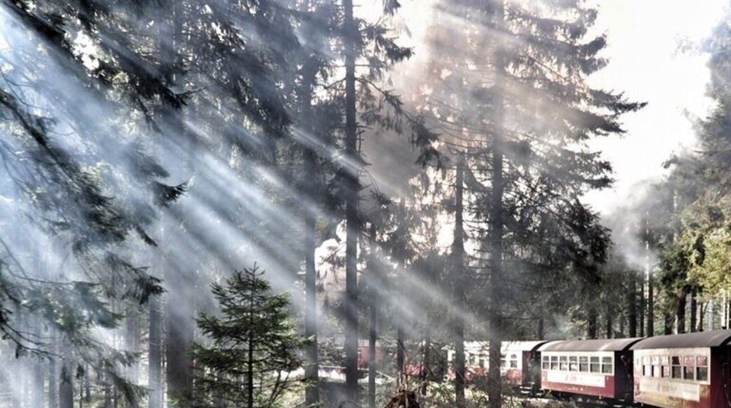 The Brocken Railway (German: Brockenbahn) is one of three tourist metre gauge railways which together with the Harz Railway and Selke Valley Railway form the Harz Narrow Gauge Railways railway network in the Harz mountain range of Germany.
Steam locomotive 99 7243:
It runs from the station of Drei Annen Hohne at 542 m (1,778 ft), where it joins the Harz Railway, via Schierke and the Bode River valley to the summit of the Brocken, the highest mountain of the Harz at 1,141 m (3,743 ft) and part of the Harz National Park.