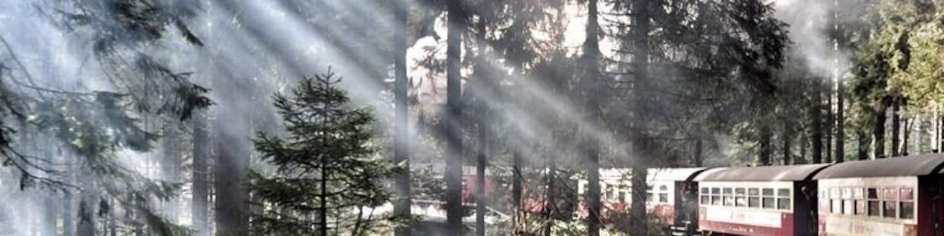 The Brocken Railway (German: Brockenbahn) is one of three tourist metre gauge railways which together with the Harz Railway and Selke Valley Railway form the Harz Narrow Gauge Railways railway network in the Harz mountain range of Germany.
Steam locomotive 99 7243:
It runs from the station of Drei Annen Hohne at 542 m (1,778 ft), where it joins the Harz Railway, via Schierke and the Bode River valley to the summit of the Brocken, the highest mountain of the Harz at 1,141 m (3,743 ft) and part of the Harz National Park.