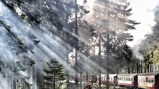 The Brocken Railway (German: Brockenbahn) is one of three tourist metre gauge railways which together with the Harz Railway and Selke Valley Railway form the Harz Narrow Gauge Railways railway network in the Harz mountain range of Germany.
Steam locomotive 99 7243:
It runs from the station of Drei Annen Hohne at 542 m (1,778 ft), where it joins the Harz Railway, via Schierke and the Bode River valley to the summit of the Brocken, the highest mountain of the Harz at 1,141 m (3,743 ft) and part of the Harz National Park.