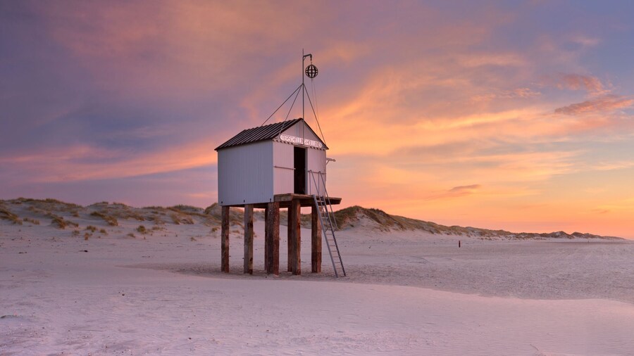 Terschelling (Ăźle)