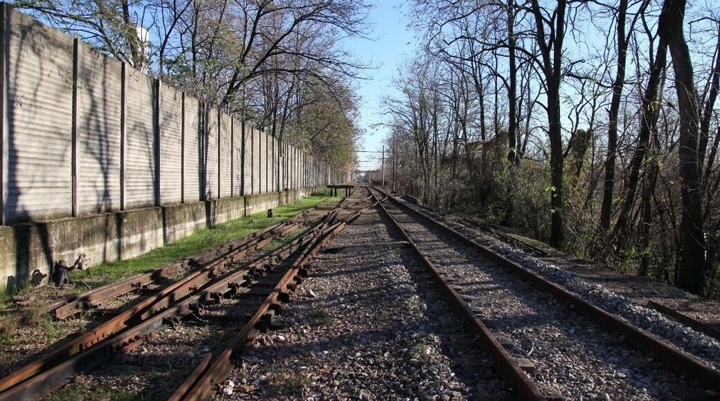 Ferrovia Saronno - Seregno 11/2010