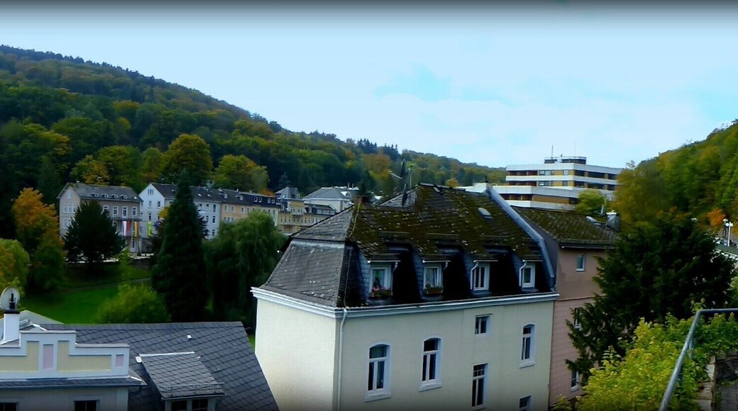 Schlangenbad - Panorama