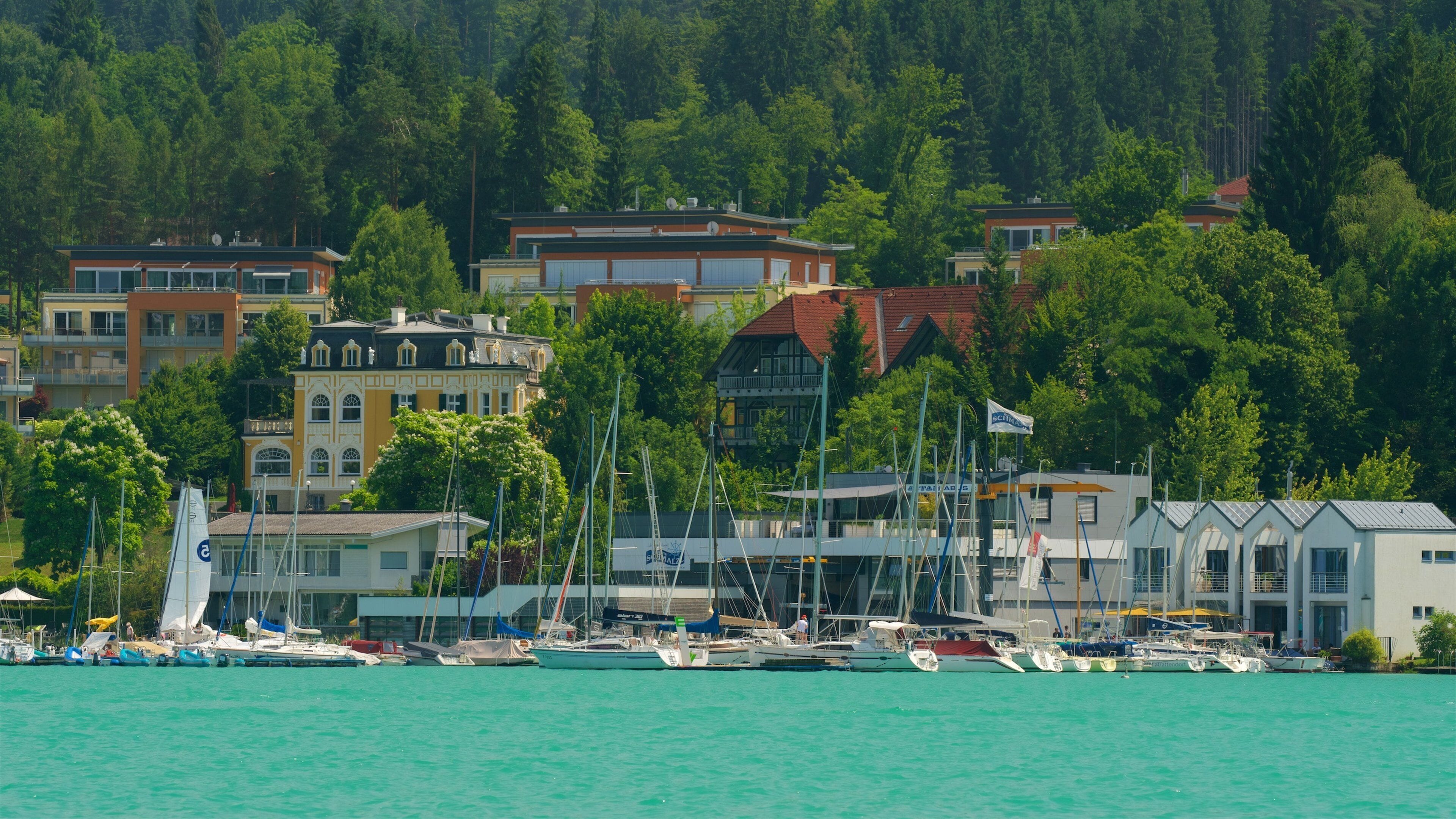 A marina with boats docked, surrounded by residential buildings and dense forest.