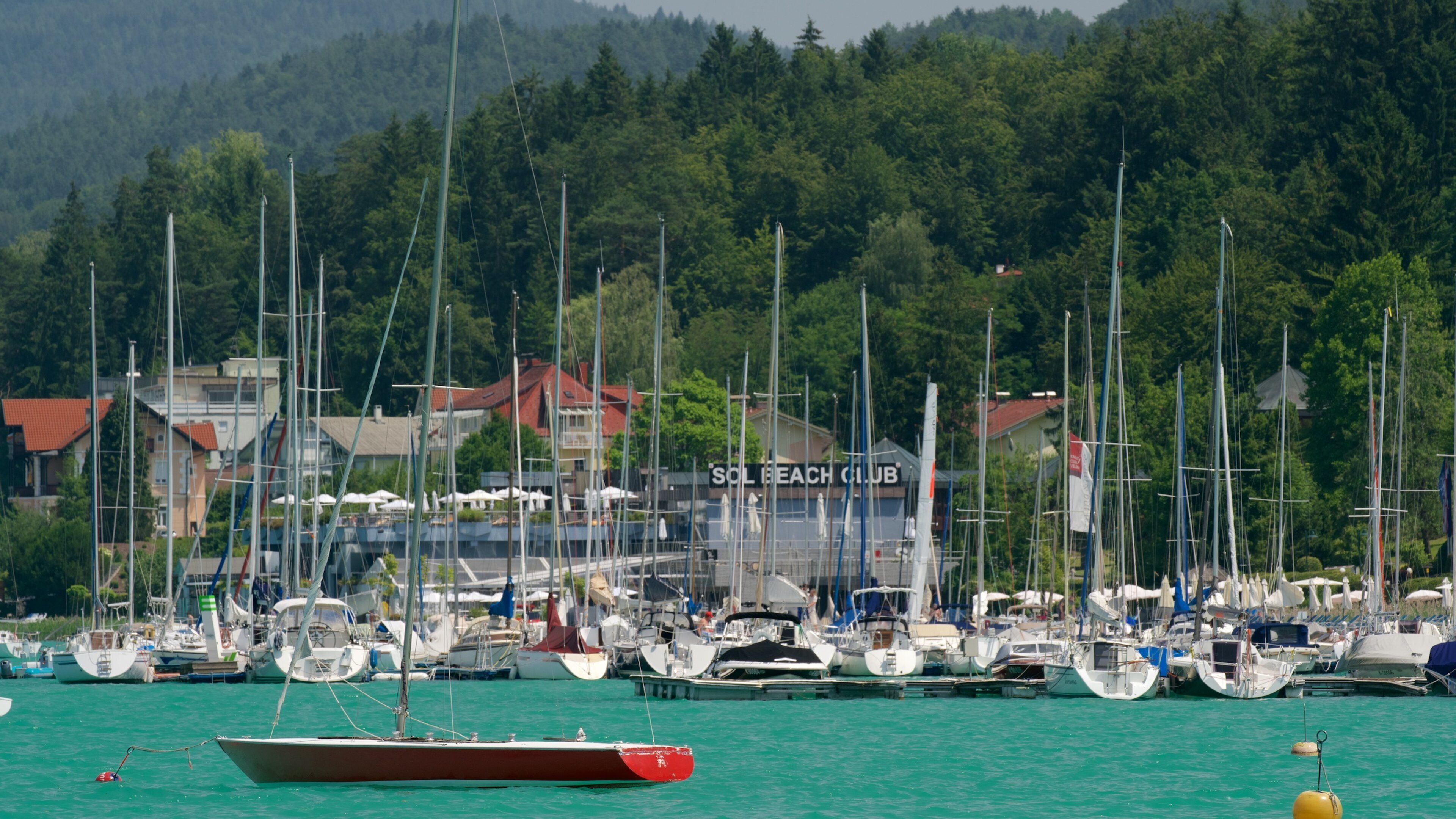Velden am Wörthersee som viser en bugt eller havn og fredfyldte omgivelser