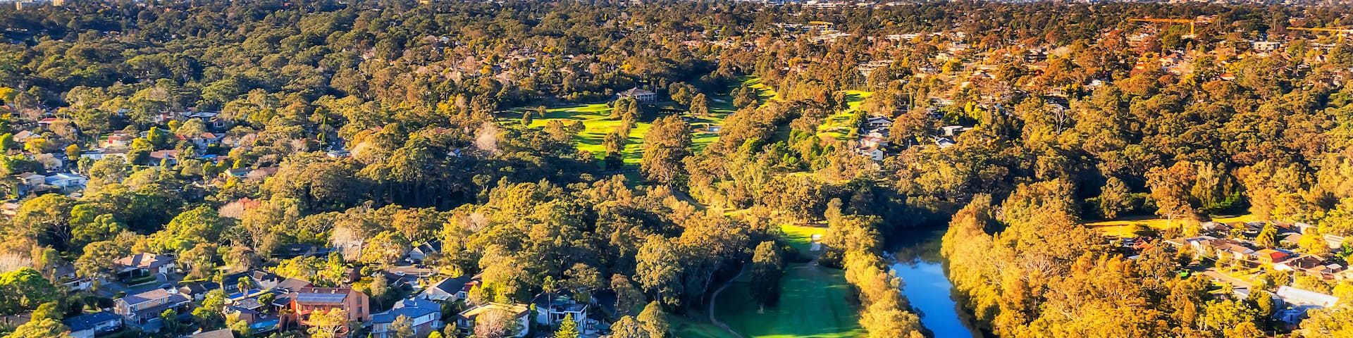 A river winding through a densely wooded area with a city skyline in the distance.